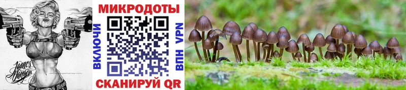 МЕГА   Тайга  Галлюциногенные грибы MAGIC MUSHROOMS 